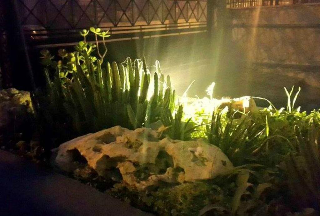 مبيت وإفطار ليتشي Lo Specchio Del Salento المظهر الخارجي الصورة
